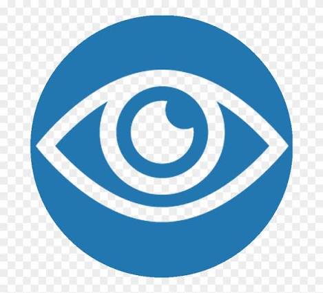 Vision